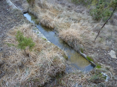 Fuente de la Canaleja - imagen 4
