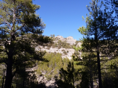 Fuente de la Canaleja - imagen 6