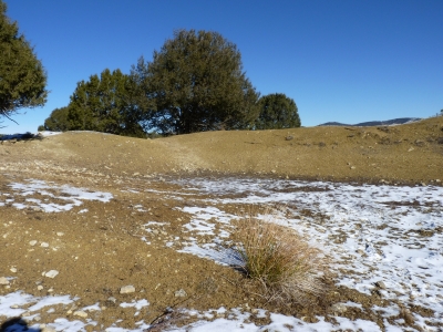 Fuente el Cubillejo - imagen 3