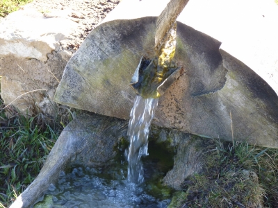 Fuente el Enebro - imagen 4