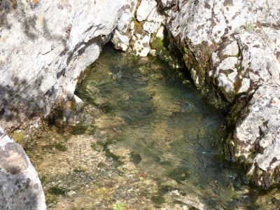Las Fuentes I - imagen 3