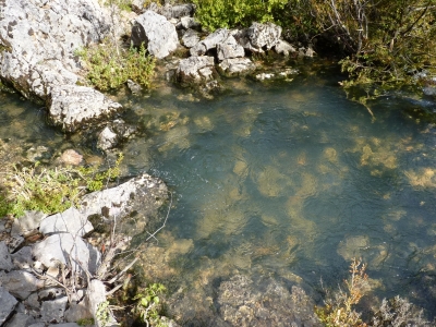 Las Fuentes I - imagen 4