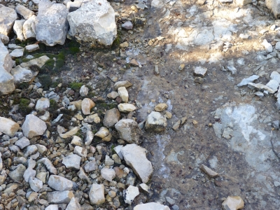 Fuente la Gozuela - imagen 1