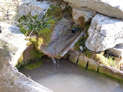 Fuente el Maillo - imagen 2
