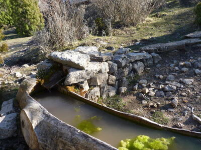 Fuente el Maillo - imagen 3