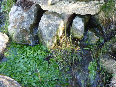 Fuente el Maillo - imagen 5
