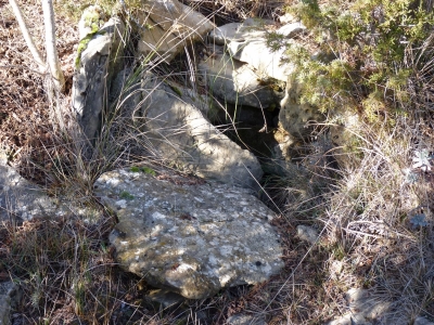 Fuente Martín Gómez - imagen 2