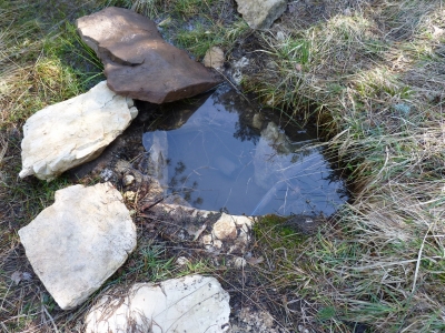 Fuente Miguel Artín - imagen 7