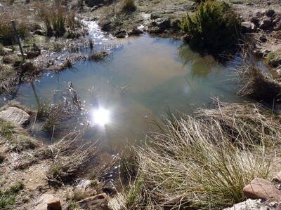 El Ojuelo - imagen 1