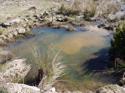 El Ojuelo - imagen 2