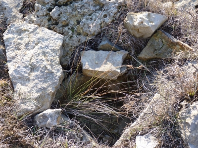 Fuente el Pino - imagen 2
