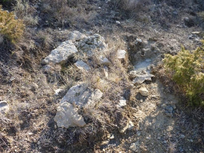 Fuente el Pino - imagen 3