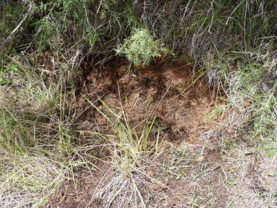 Fuente las Reillas - imagen 2