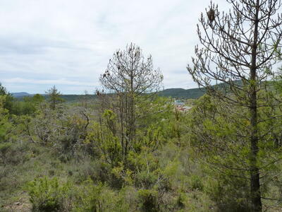 Fuente las Reillas - imagen 3