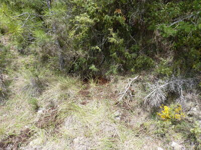 Fuente las Reillas - imagen 4