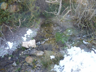 Fuente Buena - imagen 2