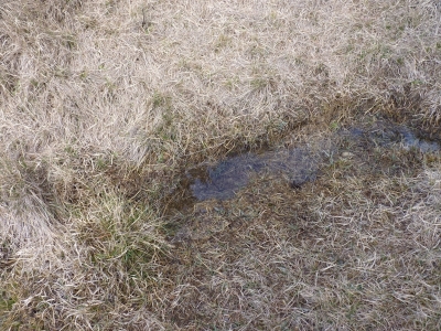 Fuente de la Canaleja - imagen 2