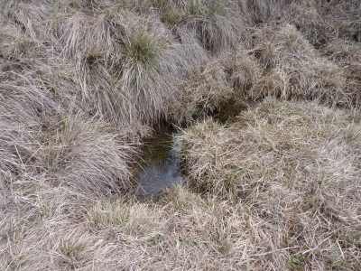 Fuente de la Canaleja - imagen 3