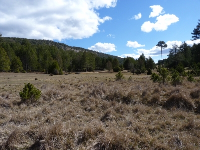 Fuente de la Dehesa - imagen 1