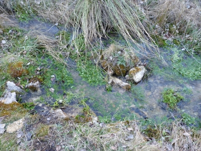 La Fuente - imagen 2