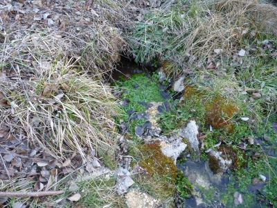 La Fuente - imagen 3