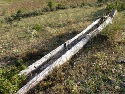 Fuente Lardara - imagen 5
