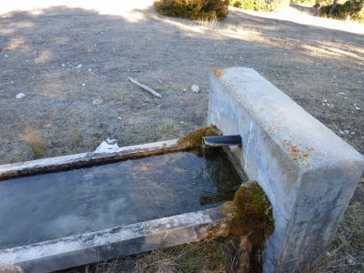 Fuente de San Asensio - imagen 2