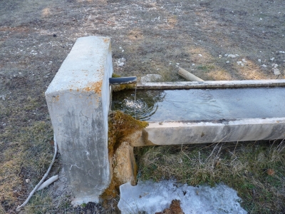 Fuente de San Asensio - imagen 3