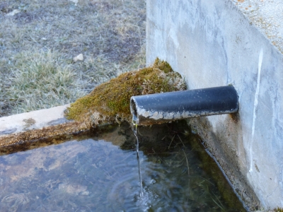 Fuente de San Asensio - imagen 4