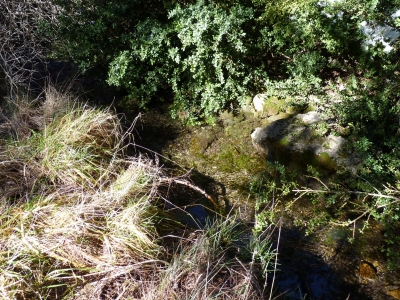 Fuente del Sauco - imagen 1