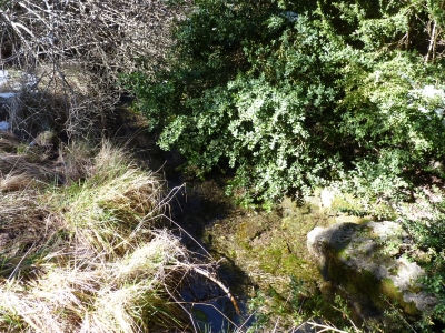 Fuente del Sauco - imagen 3