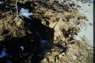 Fuente del Tío Borrega - imagen 1