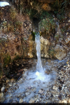 Fuente del Tío Borrega - imagen 2