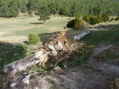 Fuente de los Tornajos - imagen 6