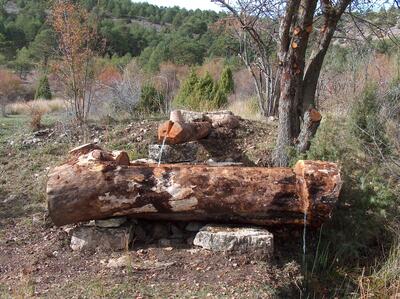 Fuente del Cerecea - imagen 2