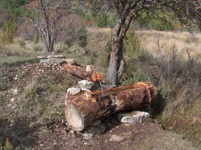 Fuente del Cerecea - imagen 3