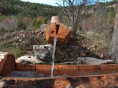 Fuente del Cerecea - imagen 4