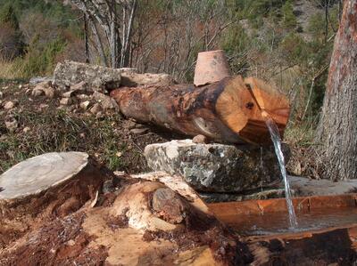 Fuente del Cerecea - imagen 5