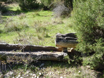 Fuente del Cubilejo I - imagen 6