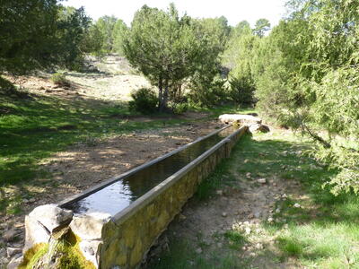 Fuente del Cubilejo II - imagen 1