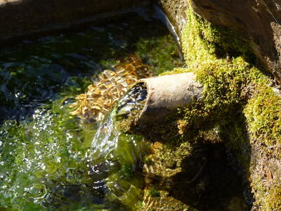 Fuente del Cubilejo II - imagen 3