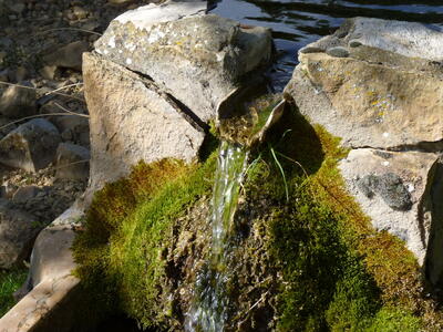 Fuente del Cubilejo II - imagen 8