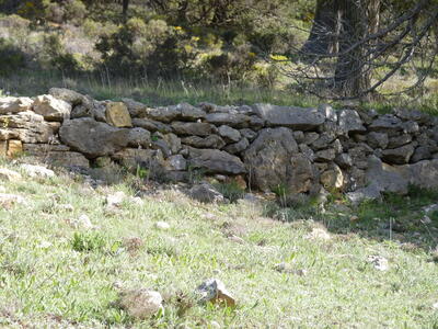 Fuente del Cubilejo II - imagen 10