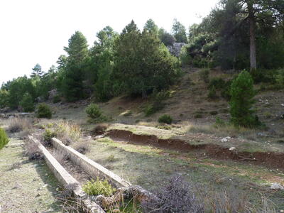 Fuente de la Nava II - imagen 6