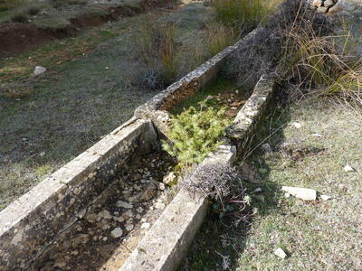 Fuente de la Nava II - imagen 8