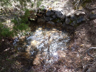 Fuente del Pastor - imagen 1