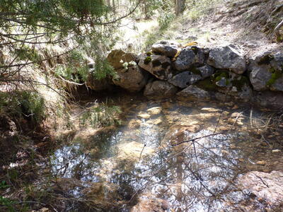 Fuente del Pastor - imagen 2