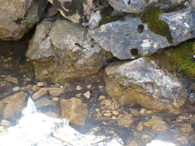 Fuente del Pastor - imagen 4