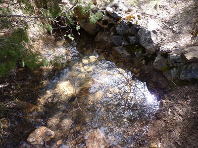 Fuente del Pastor - imagen 5