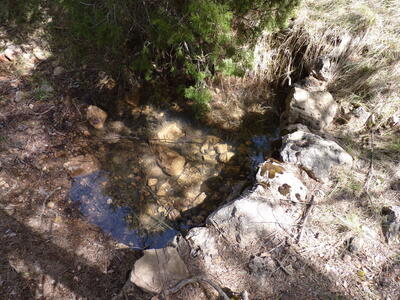 Fuente del Pastor - imagen 6